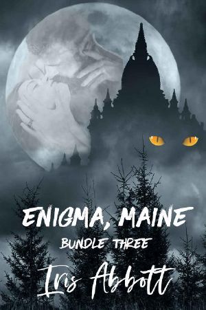 [Enigma, Maine 03] • Enigma, Maine, Bundle 3
